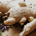 Ginger shots bring warmth, circulation, and digestive movement—small in size, big in felt impact. Use Discount Code RAWFOODFEAST to save on Hurom & Nama juicers, the Nama M1 plant-based nut milk maker, and accessories. Raw Food Feast by Mirjam Henzen.