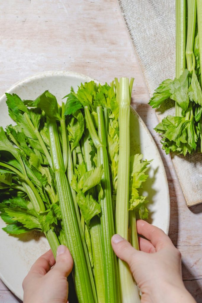 Hands holding a fresh bunch of celery over a ceramic plate on a wooden surface, ready to be juiced.
