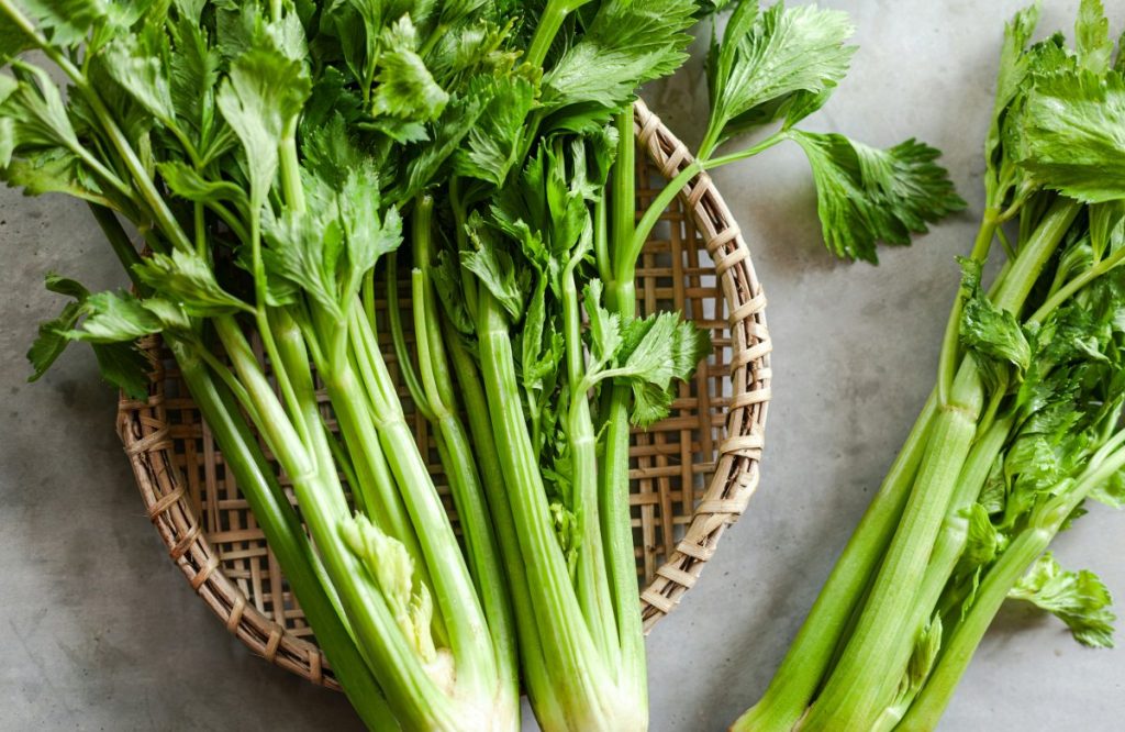 Fresh celery bunches in a wicker basket showing vibrant green stalks and leaves.