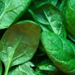 Freshly washed spinach leaves with water droplets, highlighting spinach juice benefits for skin hydration and natural collagen support.