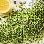 Broccoli sprouts benefits — fresh broccoli sprouts with avocado, cherry tomatoes, pumpkin seeds, lemon, and basil on a clean white surface