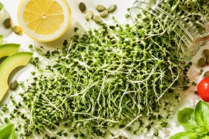 Broccoli sprouts benefits — fresh broccoli sprouts with avocado, cherry tomatoes, pumpkin seeds, lemon, and basil on a clean white surface
