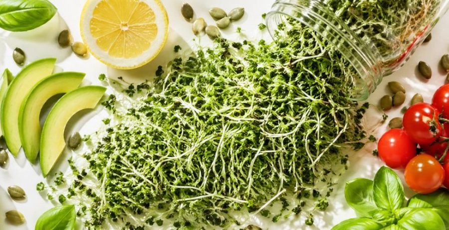 Broccoli sprouts benefits — fresh broccoli sprouts with avocado, cherry tomatoes, pumpkin seeds, lemon, and basil on a clean white surface