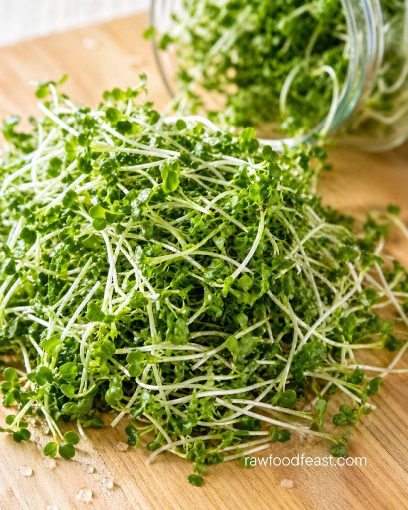 Broccoli sprouts benefits — fresh sprouts spilling out of a glass jar onto a light wood cutting board, the richest natural source of sulforaphane