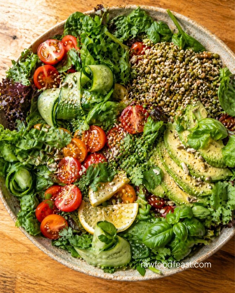 Raw salad bowl with sprouted lentils, avocado, leafy greens, cherry tomatoes, cucumber, lemon, and fresh herbs — the plant protein myth in a single meal