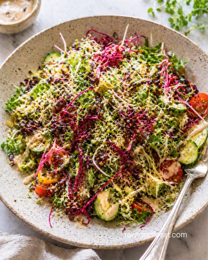 Sprouts as a topping — a stunning raw salad bowl with broccoli sprouts, beet sprouts, cucumber, cherry tomatoes, and a creamy dressing making every plate restaurant-worthy