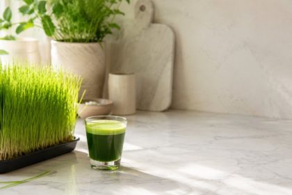 A tray of fresh homegrown wheatgrass beside a shot of bright green wheatgrass juice — the daily wheatgrass juice benefits in one frame.