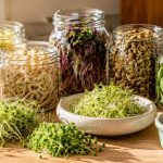 Best seeds to sprout at home — alfalfa, mung bean, broccoli, radish, lentil, sunflower, and fenugreek sprouts in glass jars